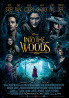 Cartel de Into the Woods