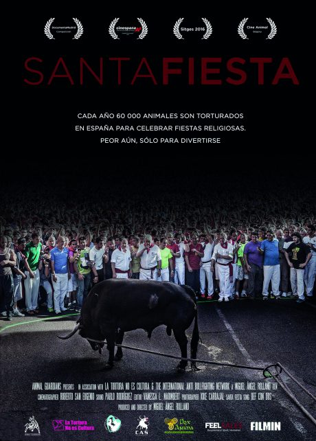 Cartel de Santa Fiesta