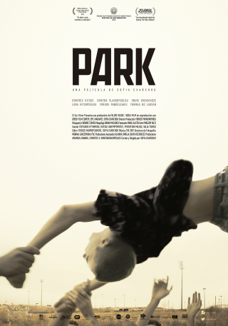 Cartel de Park