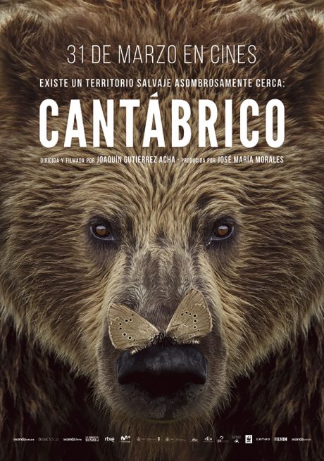 Cartel de Cantábrico, los dominios del oso pardo