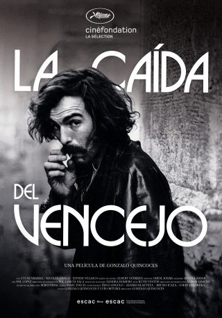 Cartel de La caída del vencejo