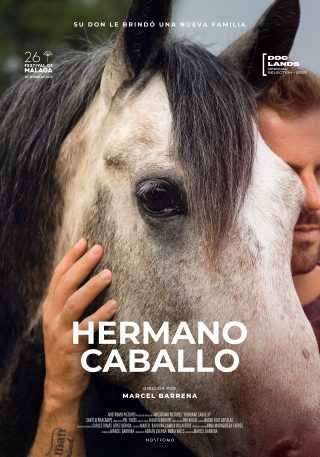 Cartel de Hermano caballo