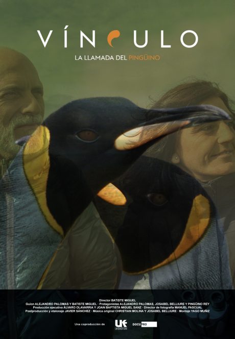 Cartel de Vínculo, la llamada del pingüino