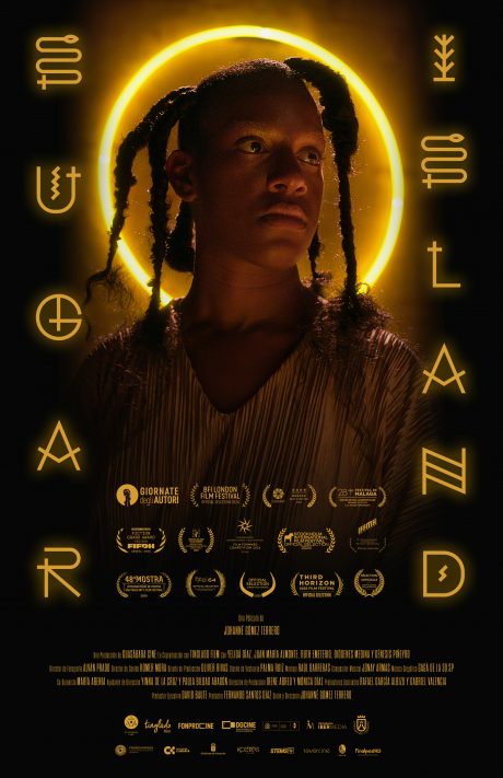 Cartel de Sugar Island