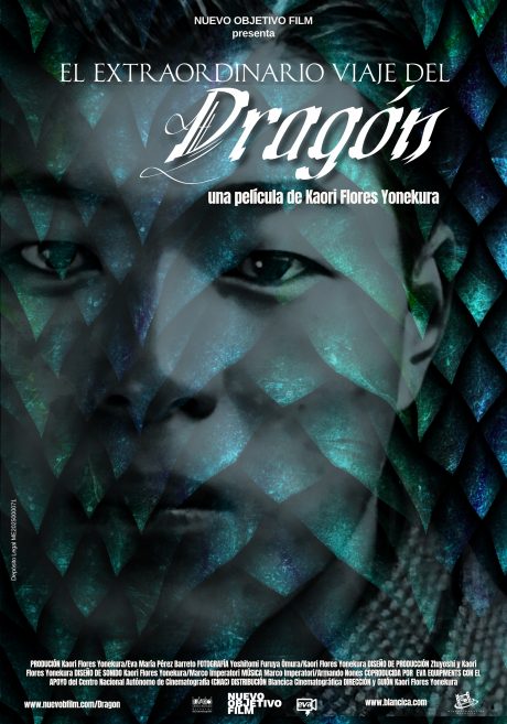 Cartel de El extraordinario viaje del Dragón